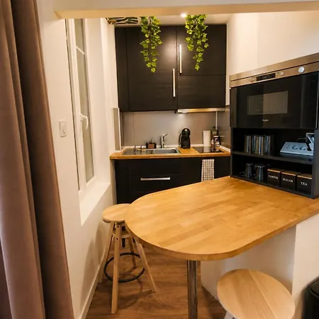 Cosy Et Climatise Place Darcy *