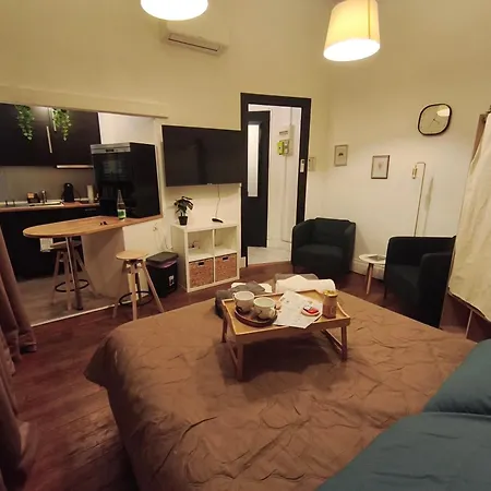 Apartment Cosy Et Climatise Place Darcy *