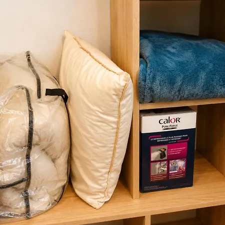 Apartment Cosy Et Climatise Place Darcy